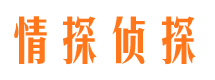 萨迦侦探调查公司